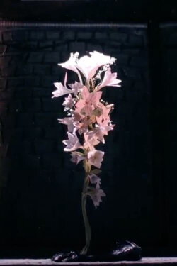 A brightening life (2010) A brightening life (2010)
