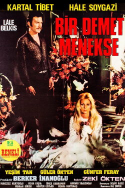 A Bunch of Violets (1973) A Bunch of Violets (1973)