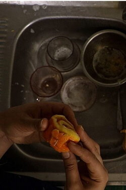 A Butterfly on an Orange Peel (2024) A Butterfly on an Orange Peel (2024)