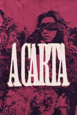A Carta (2024)
