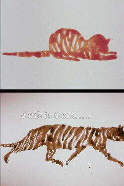 A Cat Is A Cat (1971) A Cat Is A Cat (1971)