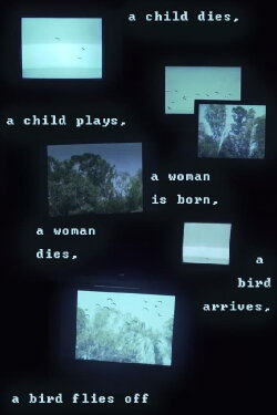 A child dies, a child plays, a woman is born, a woman dies, a bird arrives, a bird flies off (2018)