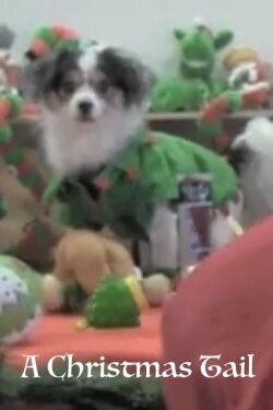 A Christmas Tail (2011)