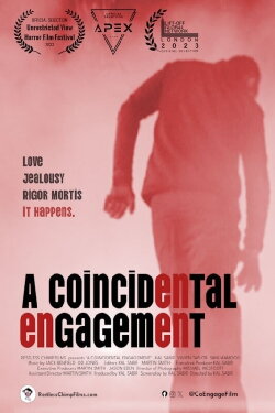 A Coincidental Engagement (2024) A Coincidental Engagement (2024)