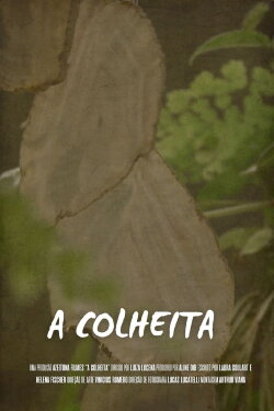 A Colheita (2023)