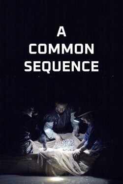 A Common Sequence (2023) A Common Sequence (2023)
