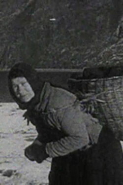 A Crofter's Life in the Shetlands (1931) A Crofter's Life in the Shetlands (1931)