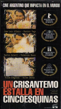 A Crysanthemum Bursts in Cincoesquinas (1998)