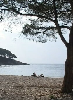 A Day (2010)