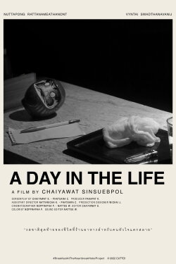 A DAY IN THE LIFE (2022)