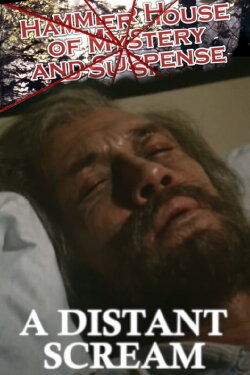 A Distant Scream (1984)