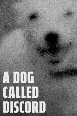 A Dog Called Discord (2023) A Dog Called Discord (2023)
