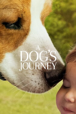 A Dog's Journey (2019) A Dog's Journey (2019)