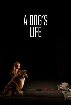 A Dog's Life (2013) A Dog's Life (2013)