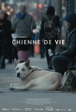 A Dog's Life (2016) A Dog's Life (2016)