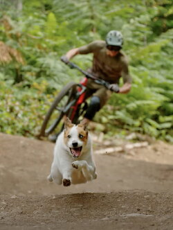A Dog's Tale (2021)