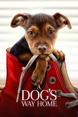 A Dog's Way Home (2019) A Dog's Way Home (2019)