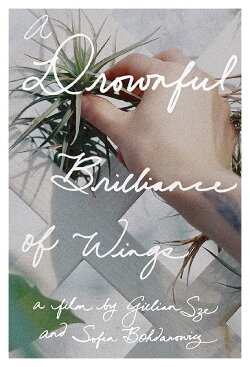 A Drownful Brilliance of Wings (2016) A Drownful Brilliance of Wings (2016)