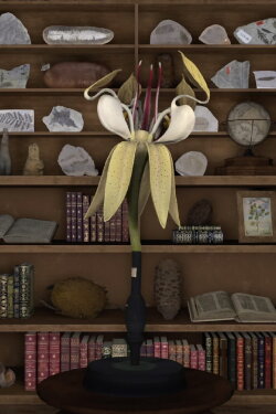 A Dying Leaf Should Be Able to Carry the Weight of the World (2024) A Dying Leaf Should Be Able to Carry the Weight of the World (2024)
