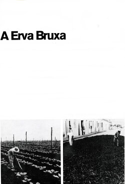A Erva Bruxa (1970) A Erva Bruxa (1970)