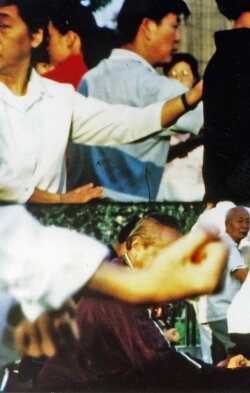A Escala Del Hombre (1992) A Escala Del Hombre (1992)