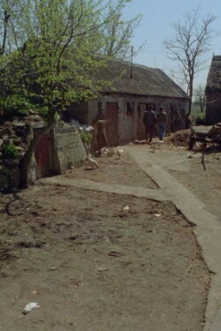 A Farm (1979) A Farm (1979)