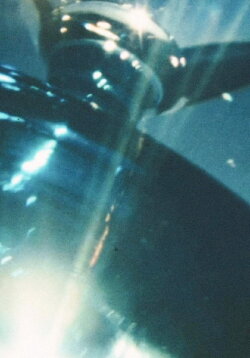 A Film That Uses a Cheap Wine Glass to Consider Light (1989) A Film That Uses a Cheap Wine Glass to Consider Light (1989)
