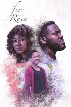A Fire In The Rain (2017) A Fire In The Rain (2017)