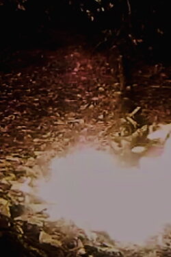 A Fire's Poem (2023)