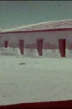 A Flor do Lácio é vadia (1978) A Flor do Lácio é vadia (1978)