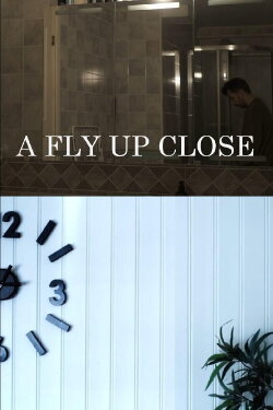 A Fly Up Close (2024)
