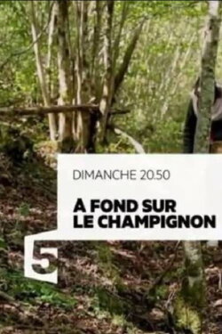 A fond sur le champignon (2017)