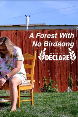 A Forest With No Birdsong (2019) A Forest With No Birdsong (2019)