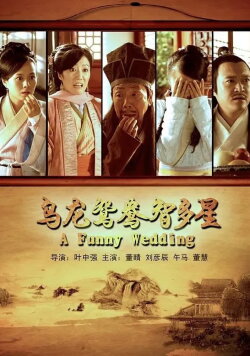 A Funny Wedding (2013)