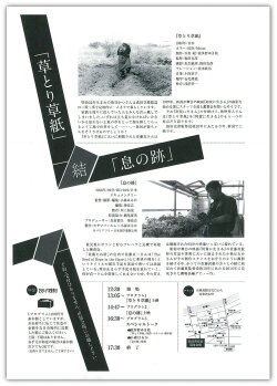 A Grasscutter's Tale (1985)