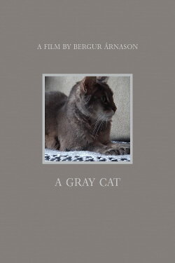 A Gray Cat (2021) A Gray Cat (2021)