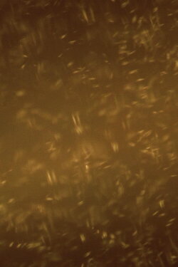 A Heap of Broken Images (2021) A Heap of Broken Images (2021)