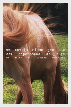 A horse looked at the sky with hope of escape (2021) A horse looked at the sky with hope of escape (2021)