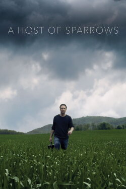 A Host of Sparrows (2018) A Host of Sparrows (2018)