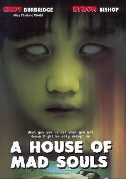 A House of Mad Souls (2003) A House of Mad Souls (2003)