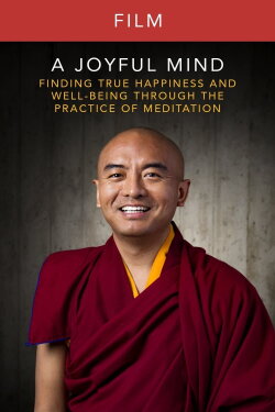 A Joyful Mind - Finding true happiness through the practice of meditation (2016) A Joyful Mind - Finding true happiness through the practice of meditation (2016)