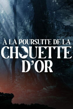 A la poursuite de la chouette d'or (2024) A la poursuite de la chouette d'or (2024)