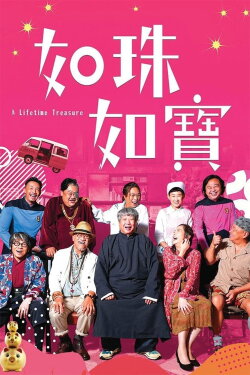 A Lifetime Treasure (2019) A Lifetime Treasure (2019)