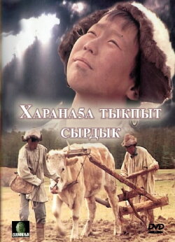 A Light in the Darkness (2003)