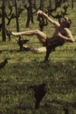 A Lost Body (1988) A Lost Body (1988)