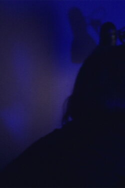 「 A M V 」 (2015)