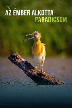 A Man-Made Paradise (2023) A Man-Made Paradise (2023)
