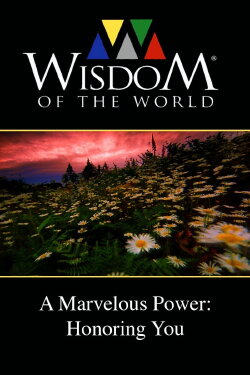 A Marvelous Power: Honoring You (2011) A Marvelous Power: Honoring You (2011)