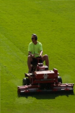 A Match for the Grass Keeper (2019) A Match for the Grass Keeper (2019)