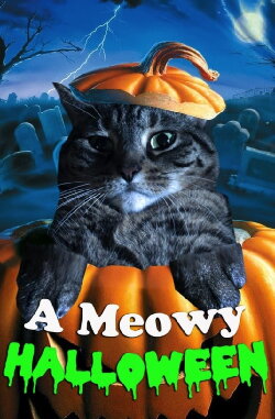 A Meowy Halloween (2018)